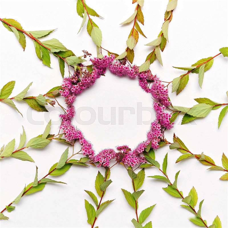 Round frame with pink field flowers on the white background. Flat lay, top view, stock photo