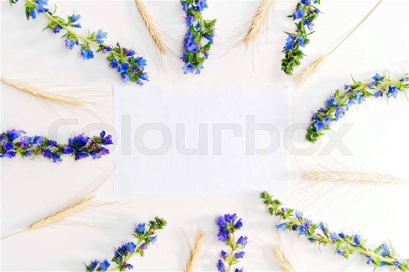 Piece of paper and frame of field flowers and wheat on the white background. Flat lay, top view, stock photo