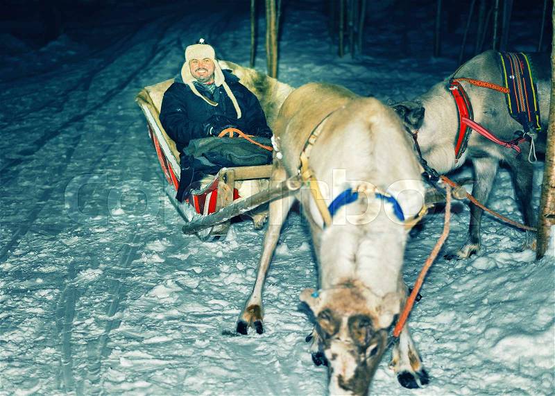 Man and Reindeer with sledge at night safari in the forest of Rovaniemi, Lapland, Northern Finland. Toned, stock photo