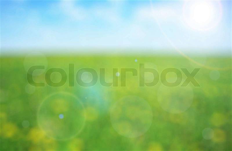 Green meadow with yellow flowers on a sunny day - defocused background, stock photo