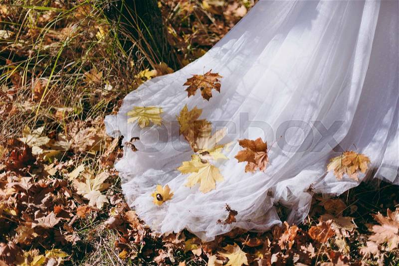 Yellow leaves on a wedding dress in autumn, stock photo