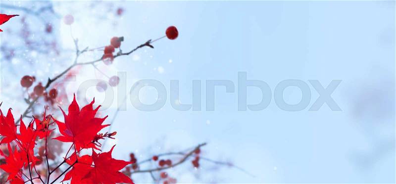 Blur of fall red maple leaves on blue sky defocused background banner, stock photo