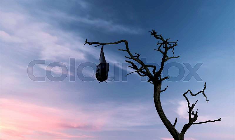 Halloween background with flying fox over bright sky , stock photo