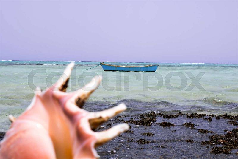 Sea coastal coast in Egypt, Red sea in Africa, shell surf boat on the water, stock photo