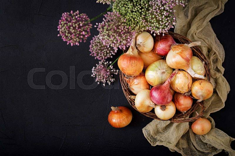 Fresh young onion bulbs and onion blossoms. Flat lay. Top view, stock photo