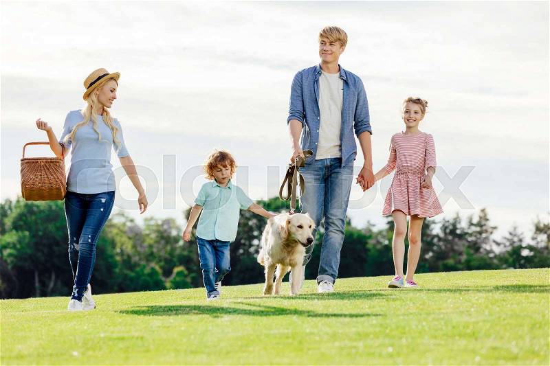 Happy young family with two children walking with golden retriever dog in park , stock photo