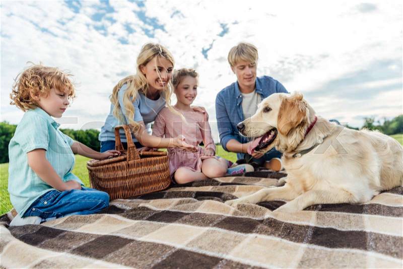 Low angle view of happy young family with pet sitting on plaid at picnic, stock photo