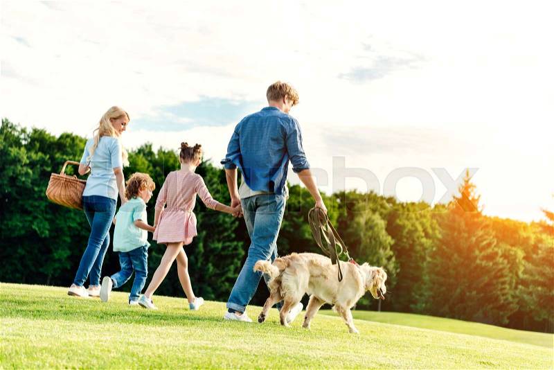 Back view of family with pet and picnic basket walking on green lawn in park, stock photo