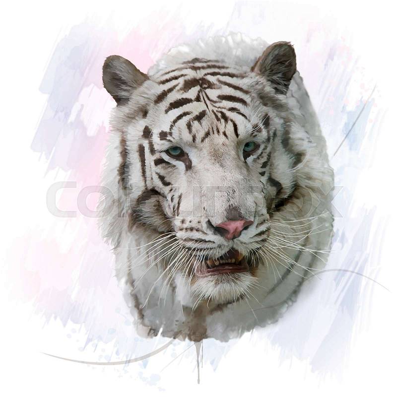 Digital Painting of White Tiger, stock photo