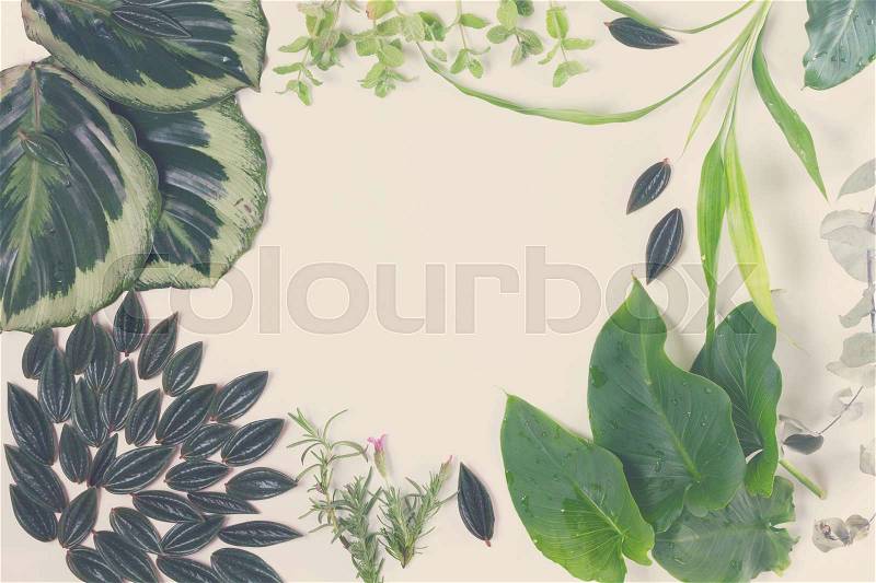 Mix of fresh green exotic tropical leaves frame on white background, top view, retro toned, stock photo