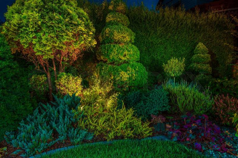 Backyard Garden Led Lighting Illumination. Beautiful Garden Illuminated by Small Spot Light Led Reflectors, stock photo