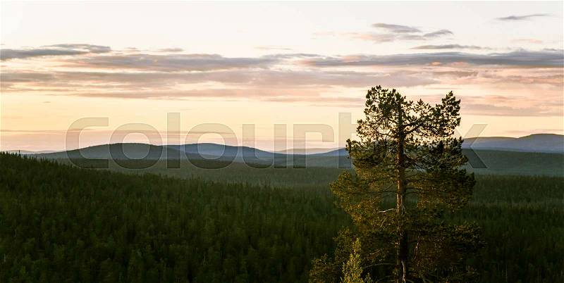A beautiful landscape with a midnight sun above arctic circle. Dreamy scenery with light flares, stock photo