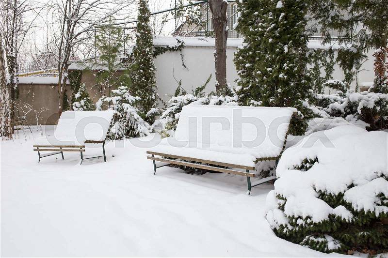 Snow covered yard with benches. Winter landscape, stock photo