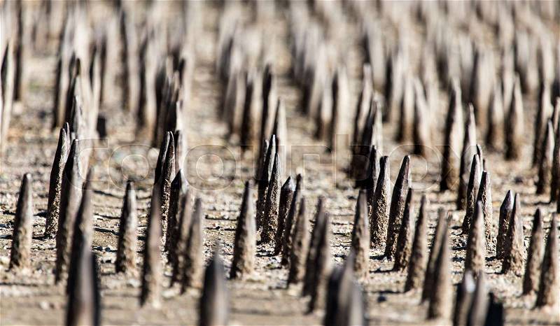 Sharp metal stakes for scaring animals like a background, stock photo