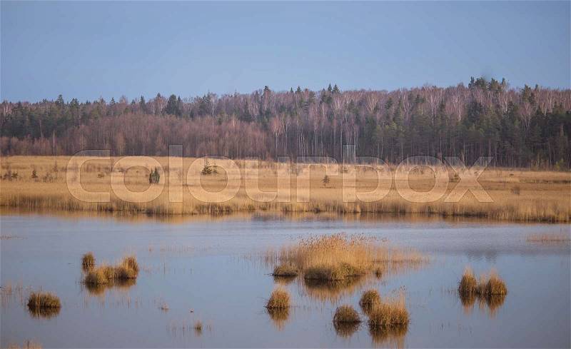 A beautiful landscape of a lake with reeds where migratory birds can rest in an early spring, stock photo