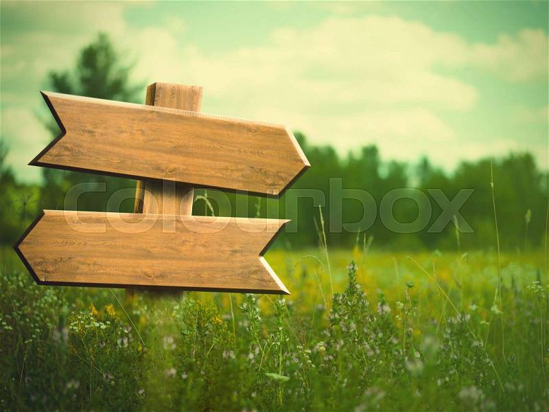 Beauty summer meadow. Rural landscape with empty road sign for your design, stock photo