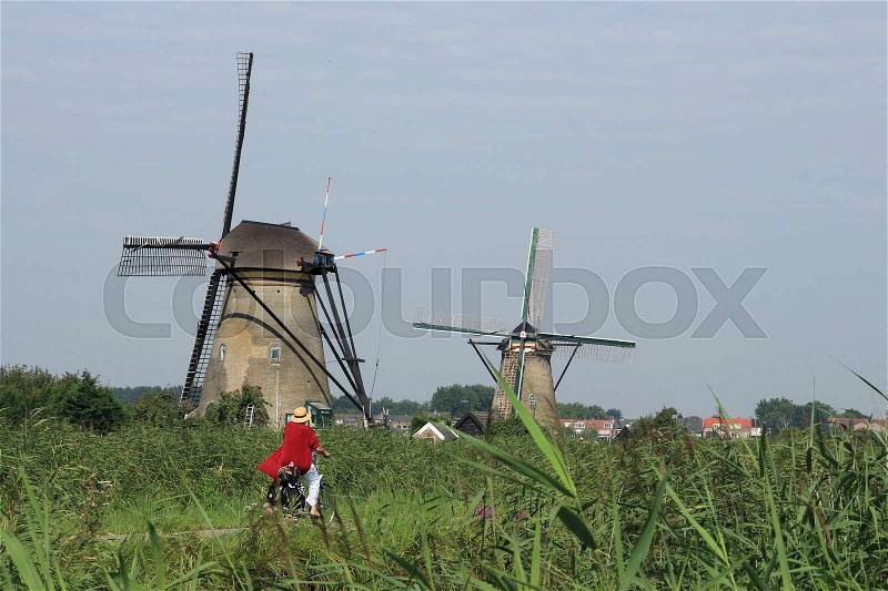 The female biker in red coat is cycling along the windmills at Kinderdijk in Holland in the summer, stock photo
