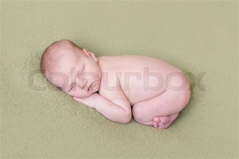 Lovely newborn baby sleeps curled up, top view, stock photo