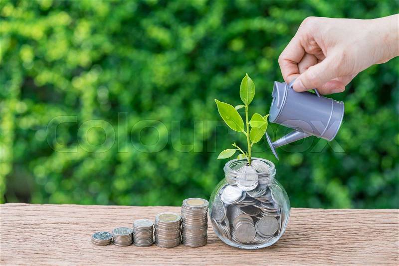 Stack of coins and growth sprout plant with hand watering as business finance or grow investment concept, stock photo