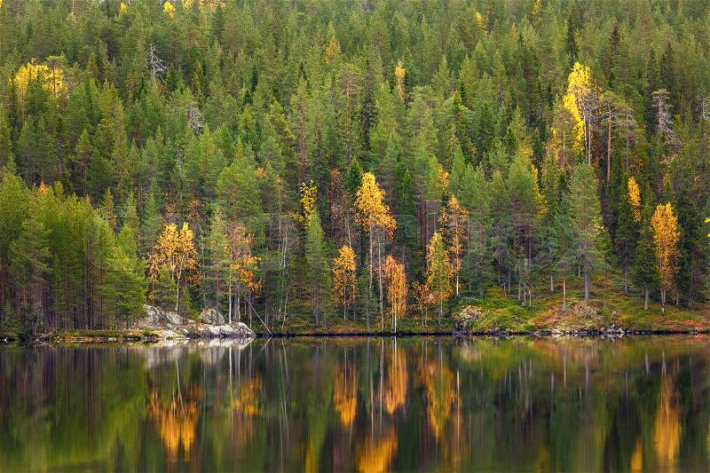 Autumn forest and lake with reflection, Finland, stock photo