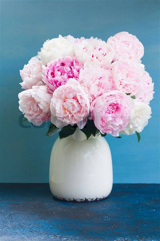 Pink fresh pink peony flowers in vase on blue, stock photo