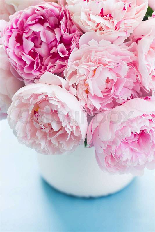 Pink fresh pink peony flowers in vase close up on blue, stock photo