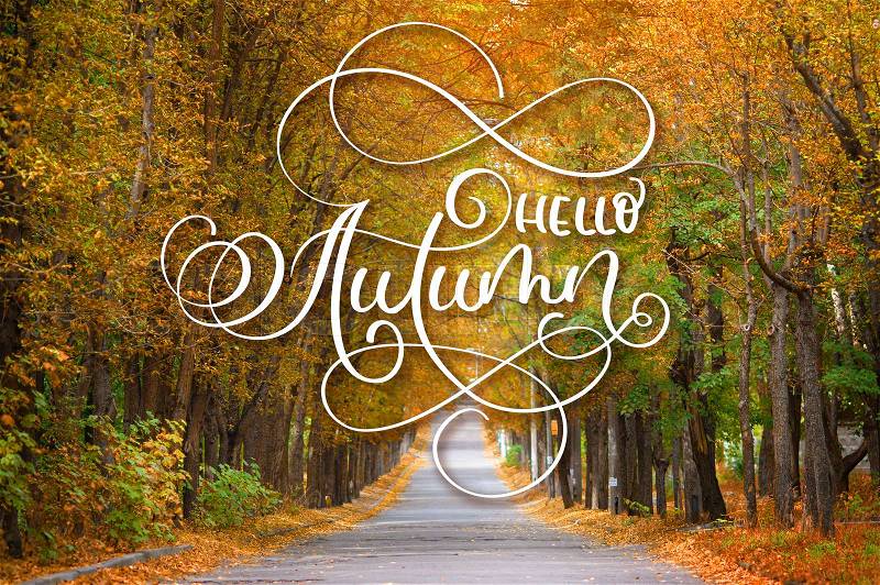 Hello Autumn calligraphy lettering text on Road running through summer tree alley, stock photo