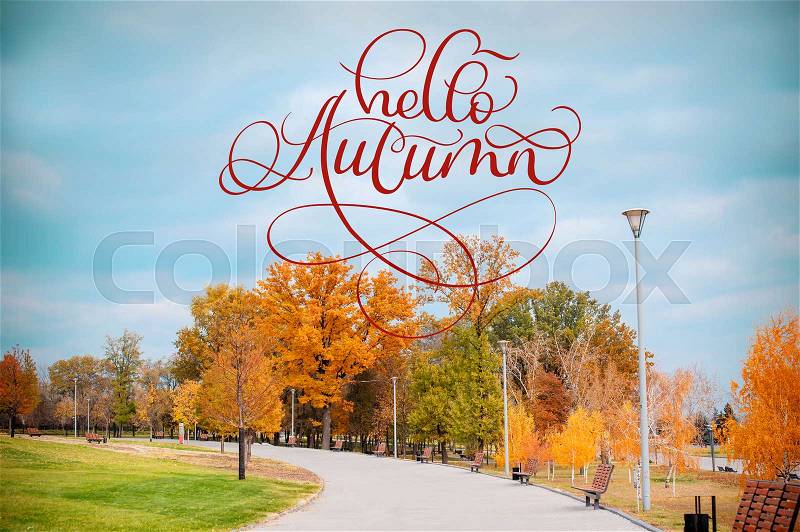 Hello Autumn calligraphy lettering text on Autumn Scenery of Park Alley with Bushes and Trees on Green Grass, stock photo