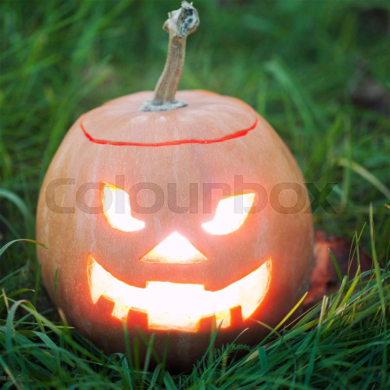 Halloween jack-o-lantern on green grass, stock photo