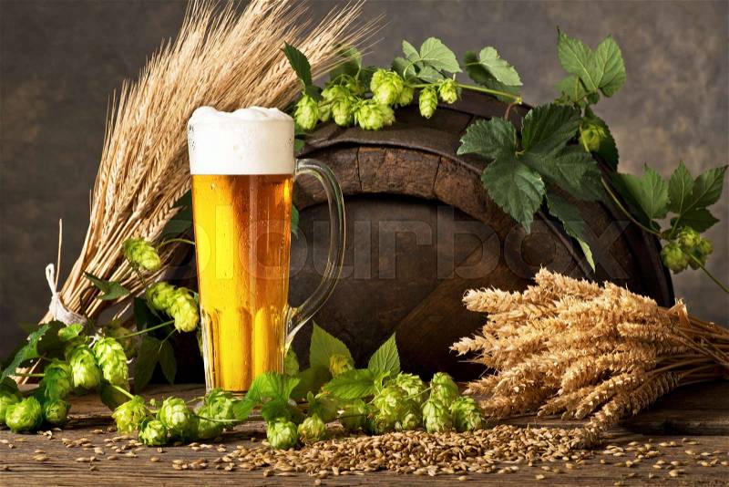 Beer Glass with Hops and Rw Material for Beer Production, stock photo