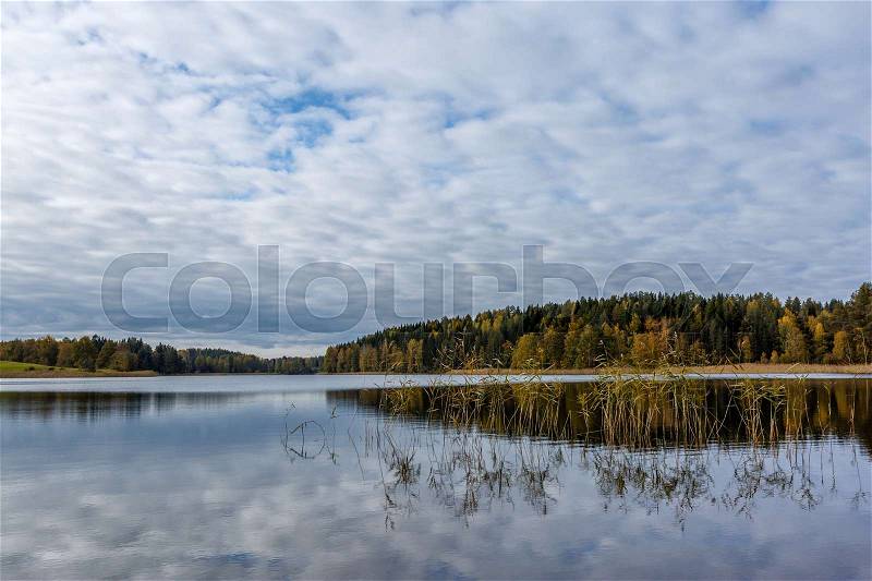 Autumn landscape with forest and lake, Finland, Saimaa, stock photo