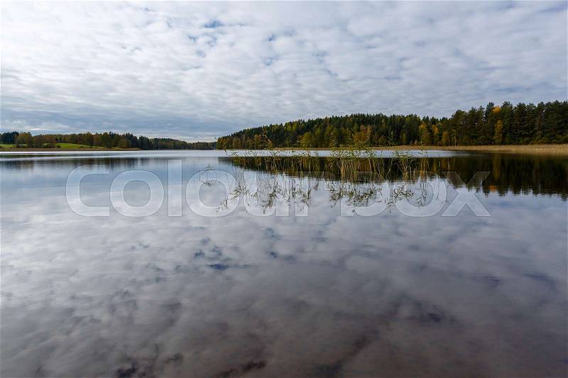 Autumn landscape with forest, lake and reflection, Finland, Saimaa, stock photo