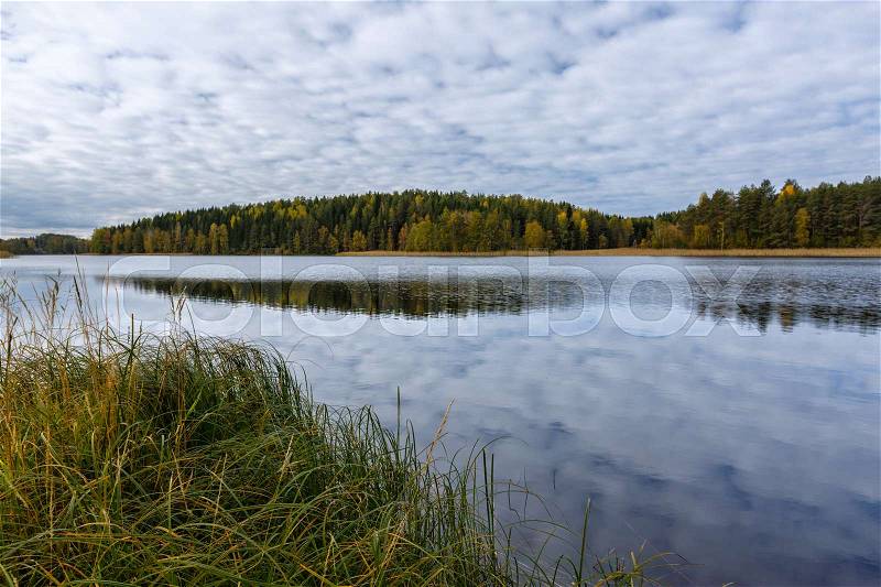 Autumn landscape with forest, lake and reflection, Finland, Saimaa, stock photo