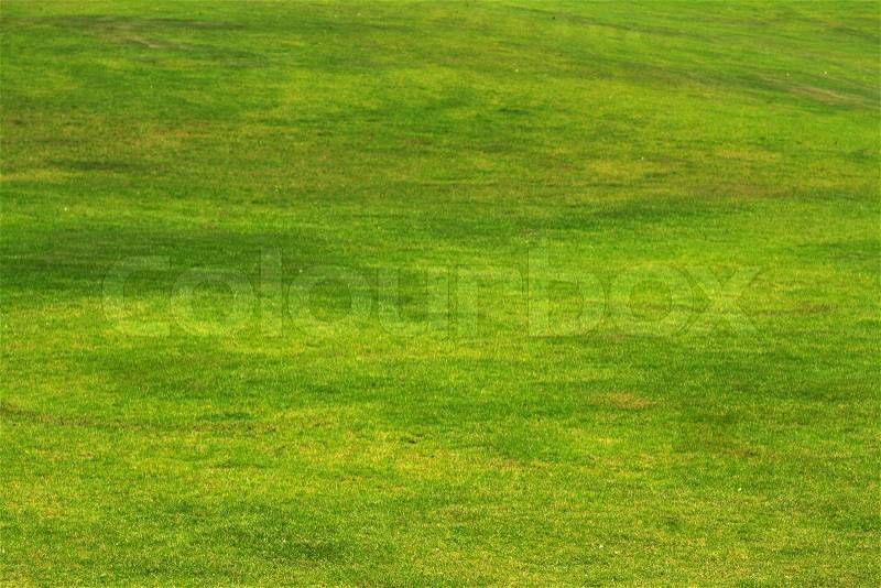Fresh cut green grass background, stock photo