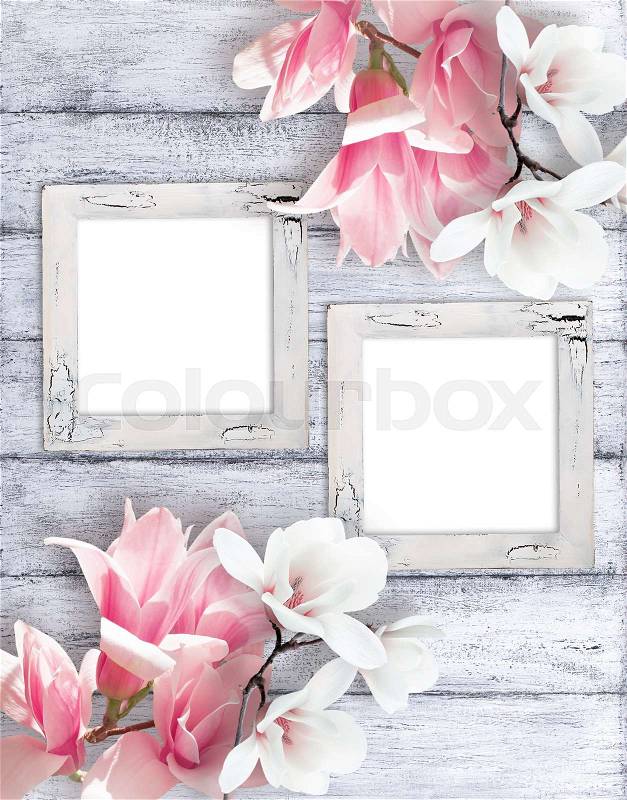 Two retro empty photo frames with magnolia flowers on background of shabby wooden planks in rustic style, stock photo