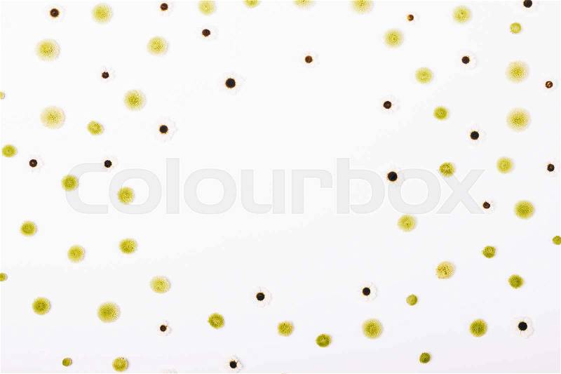 Pattern of white and green flowers on the table top view, copy space, stock photo
