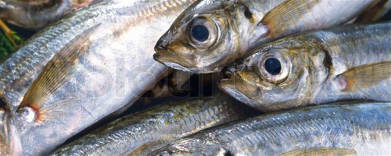 Cod fish heads on fishermen market, stock photo