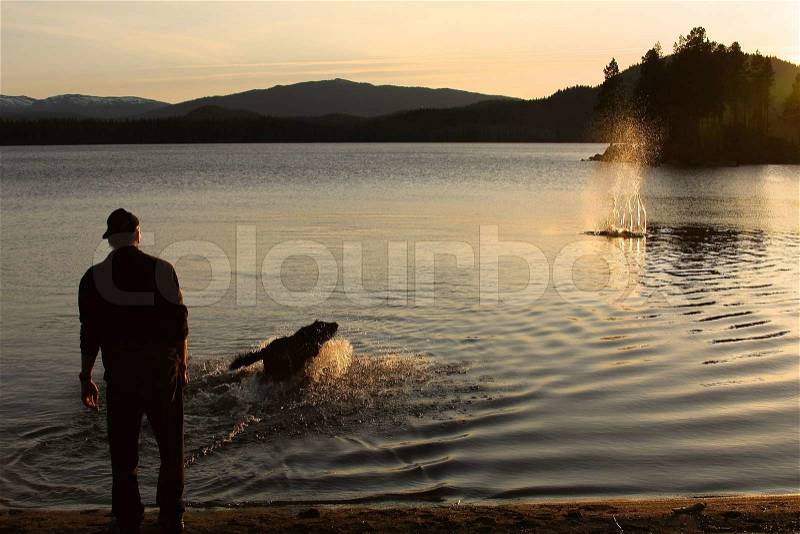 A man throws a stick into the water and a dog get it back, stock photo