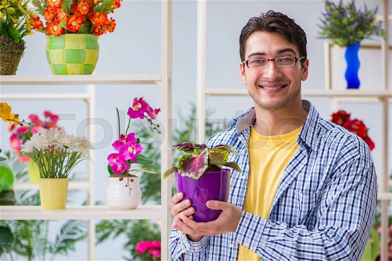 Young man florist working in a flower shop, stock photo