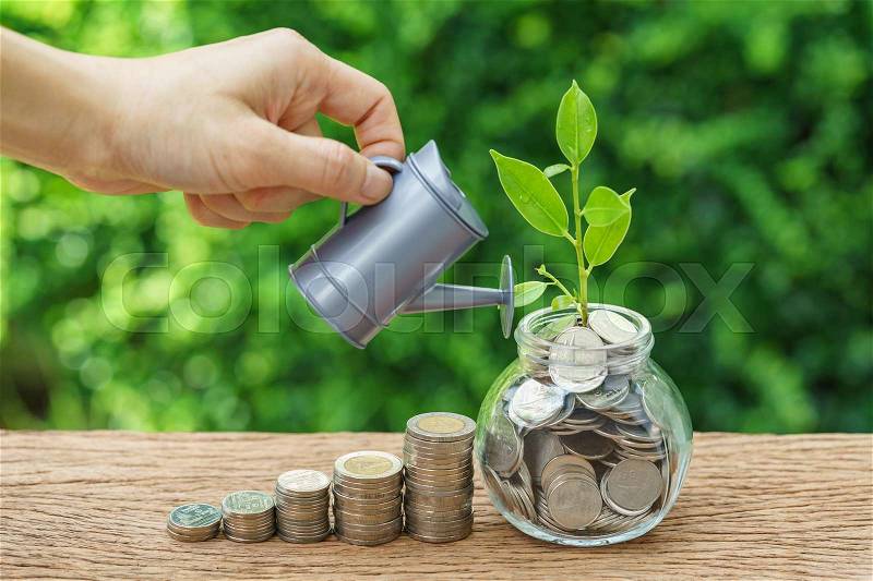 Stack of coins and growth sprout plant with hand watering as business finance or grow investment concept, stock photo