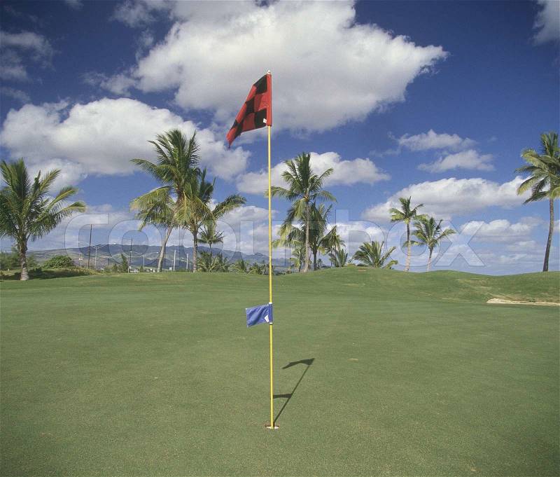 Golf course with flag, stock photo