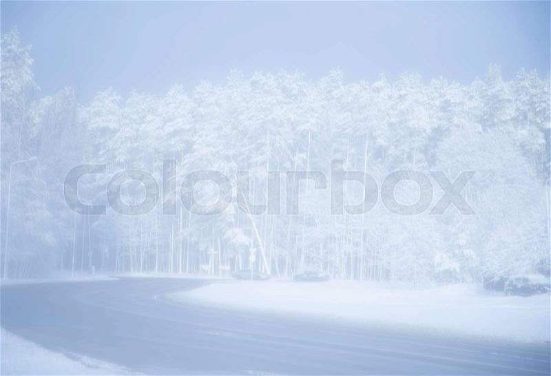 A very soft and romantic looking winter landscape, stock photo