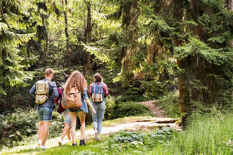 Teenagers with backpacks hiking in forest. Summer vacation adventure, stock photo