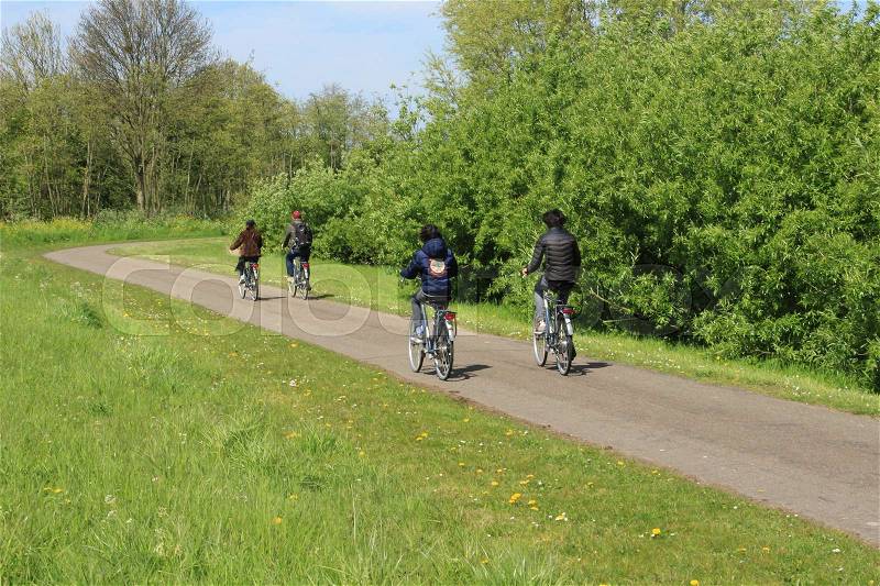 Happy family, man and wife are cycling ahead and the two boys behind the parents in the park at the country side in spring, stock photo