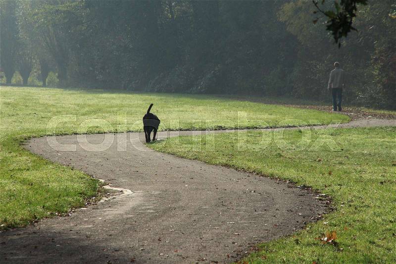 The dog is walking behind the man in the park at the country side in fall, stock photo