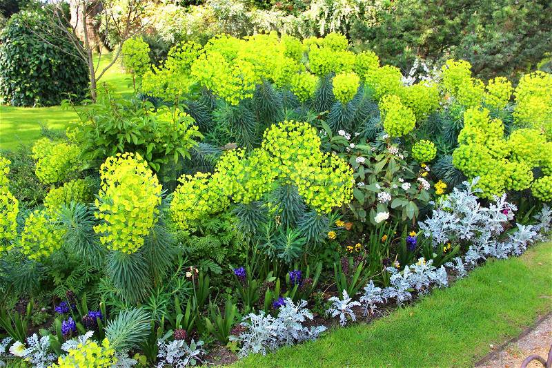 Amazing flower bed in the summer french garden, stock photo