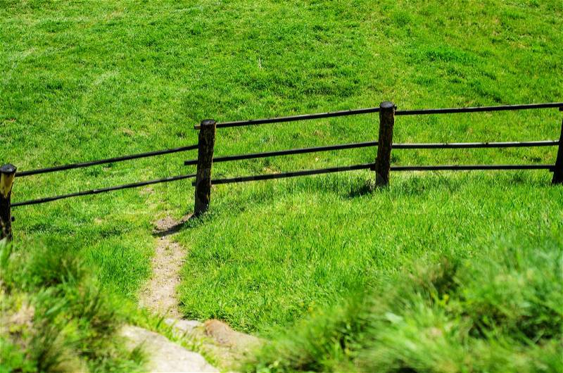 Green pastures of horse farms with black wooden fence. Country summer landscape, stock photo