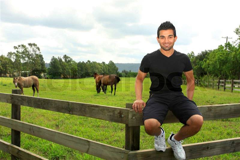 A smiling happy young man sitting on a wooden post and rail fence of a field with horses grazing, stock photo