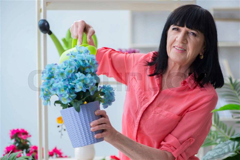 Woman florist working in the flower shop, stock photo