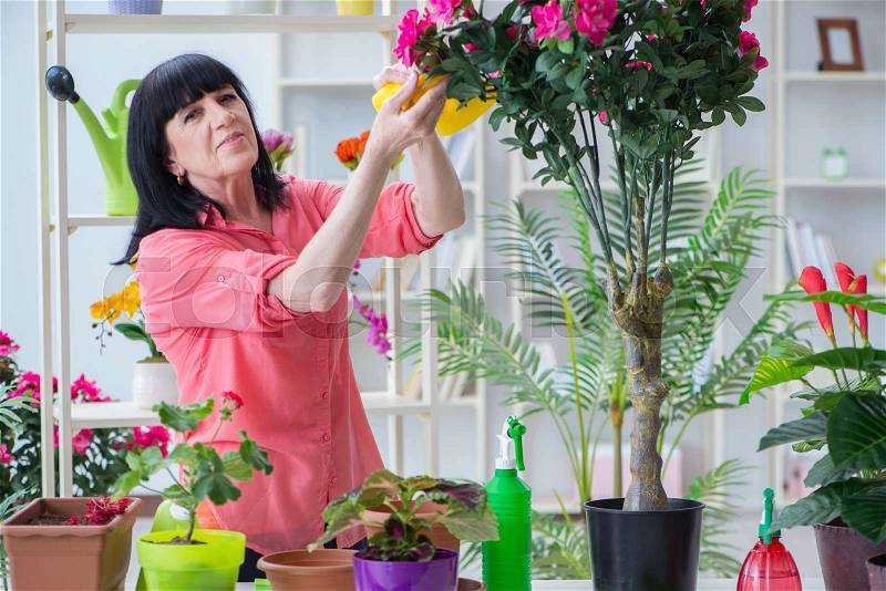 Woman florist working in the flower shop, stock photo